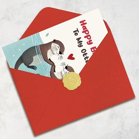 Mcduldul Wife Birthday Card | Wife Birthday Gift Ideas form Husband | Cute Otter Gifts for Women Her